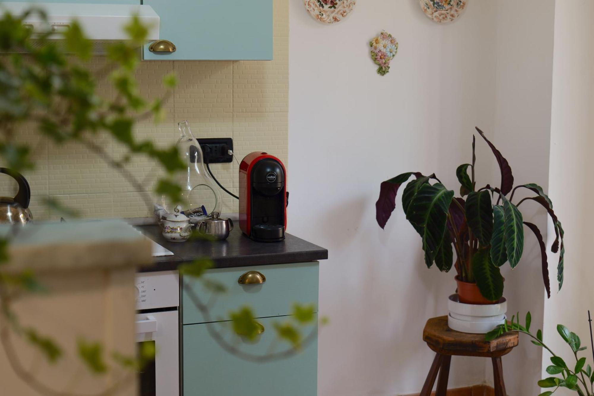 Coli'S House Bed & Breakfast Turin Luaran gambar
